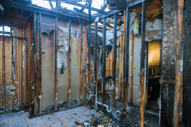 Professional Fire Damage Assessment technician working in Silverdale, WA